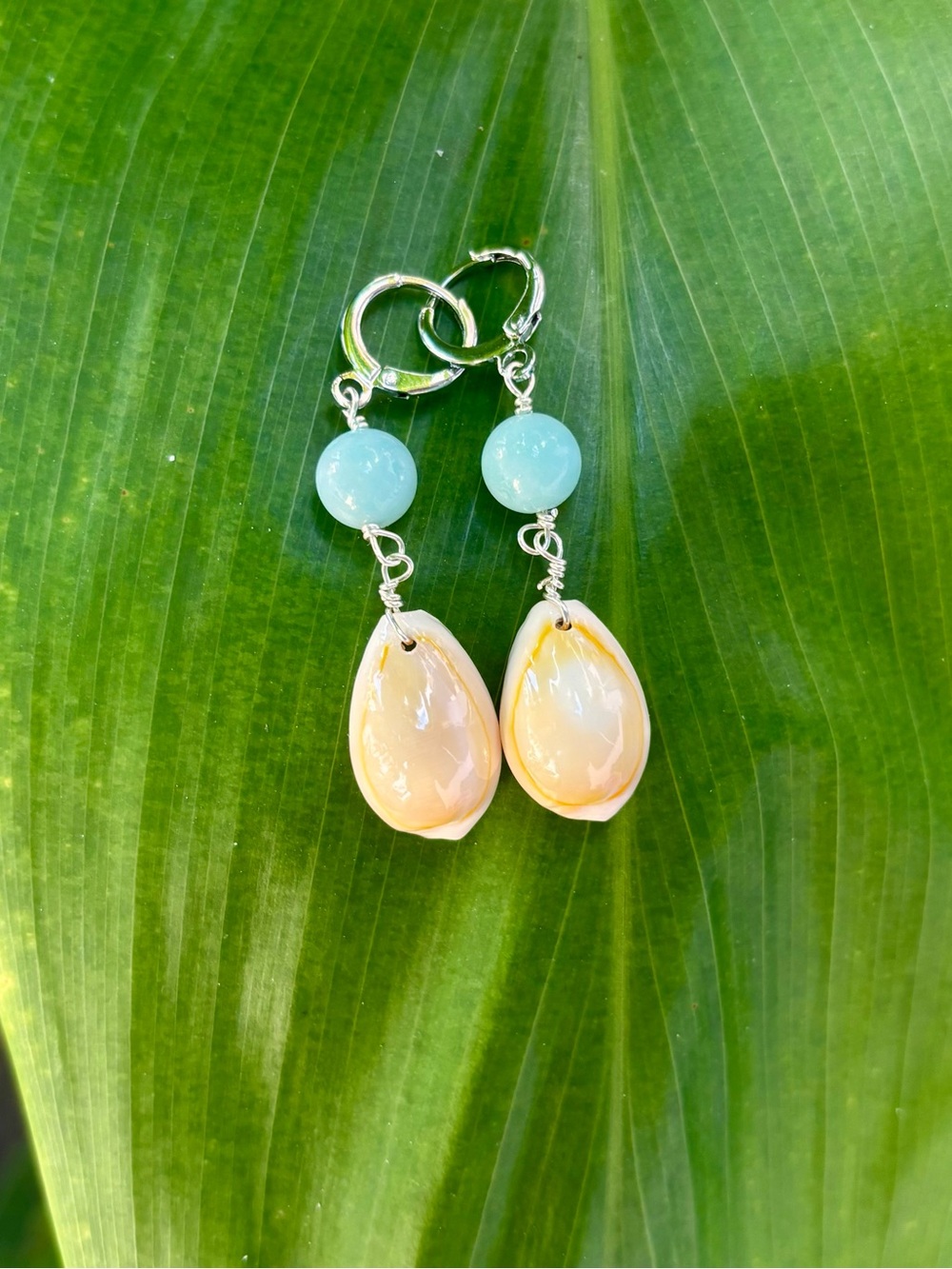 Amazonite and Cowrie Drop Earrings